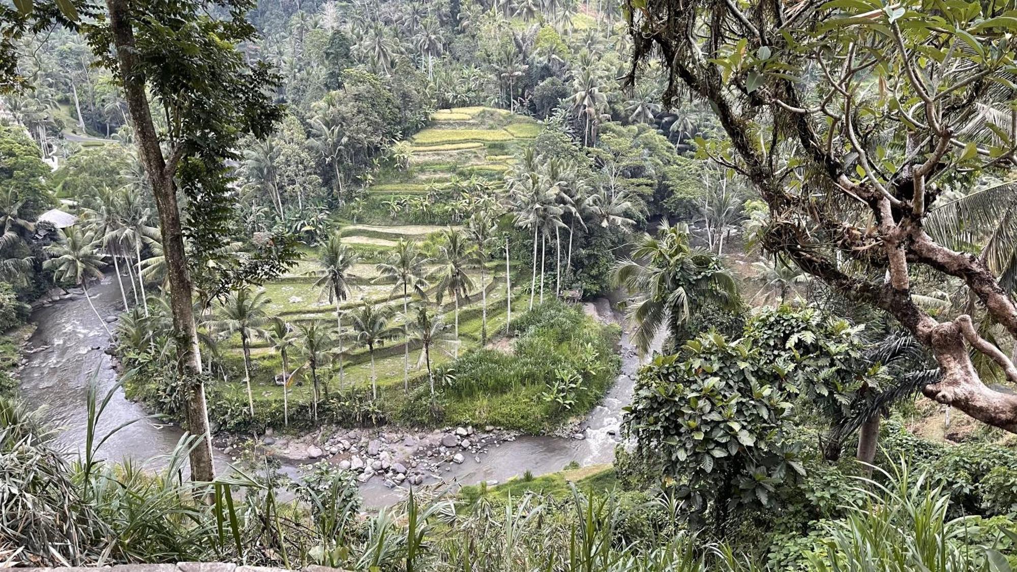 Bed and Breakfast Bali Maison à Ubud Extérieur photo