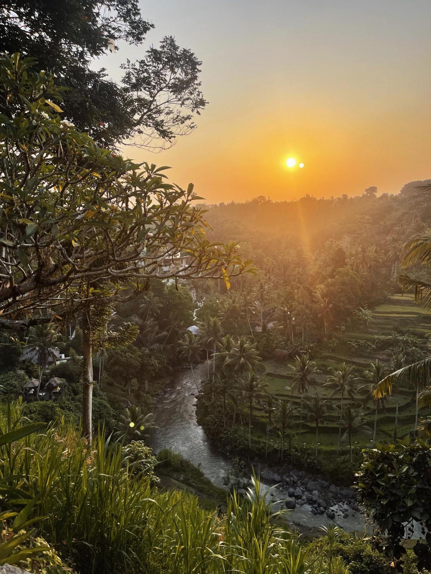 Bed and Breakfast Bali Maison à Ubud Extérieur photo