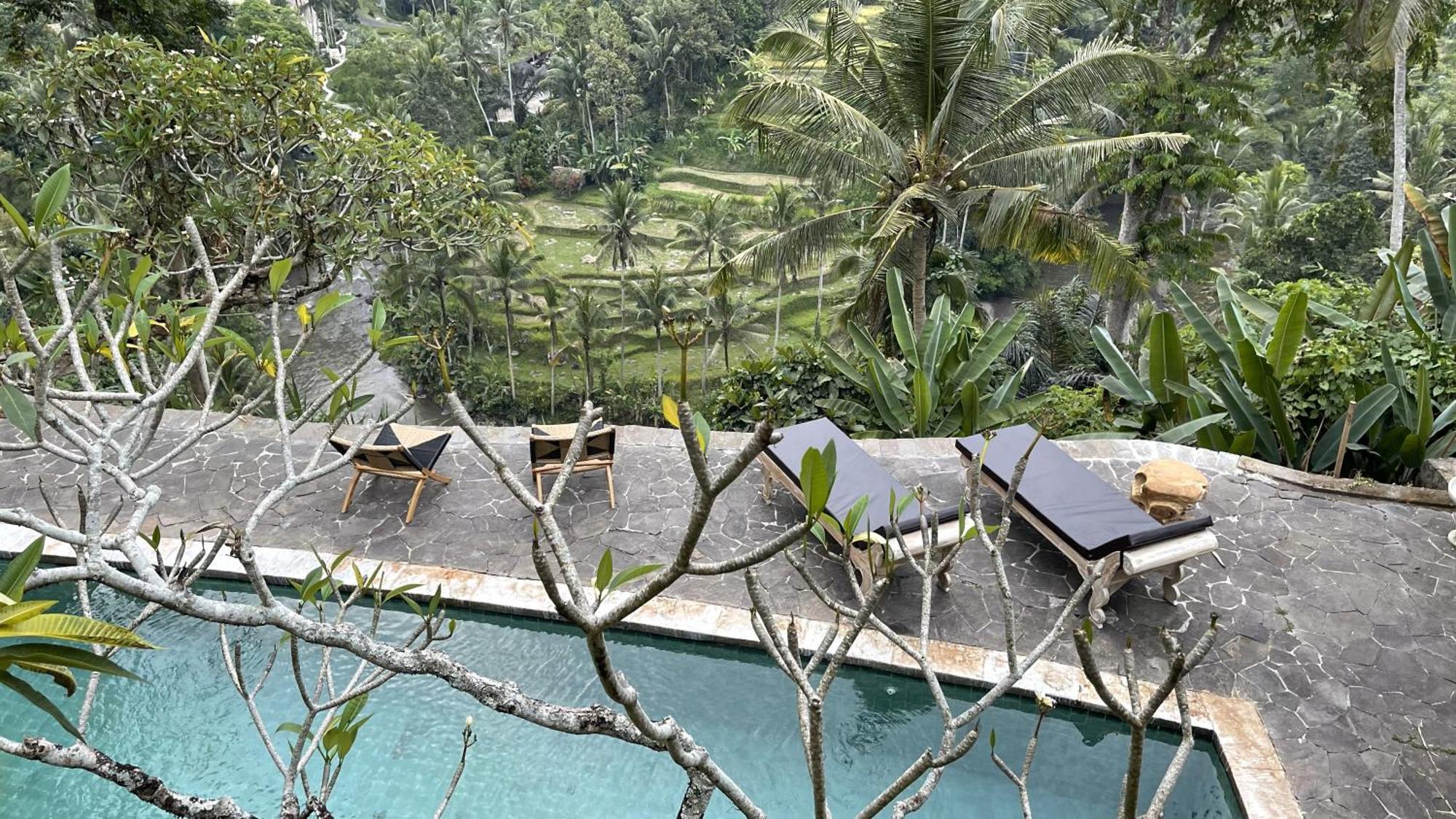 Bed and Breakfast Bali Maison à Ubud Extérieur photo