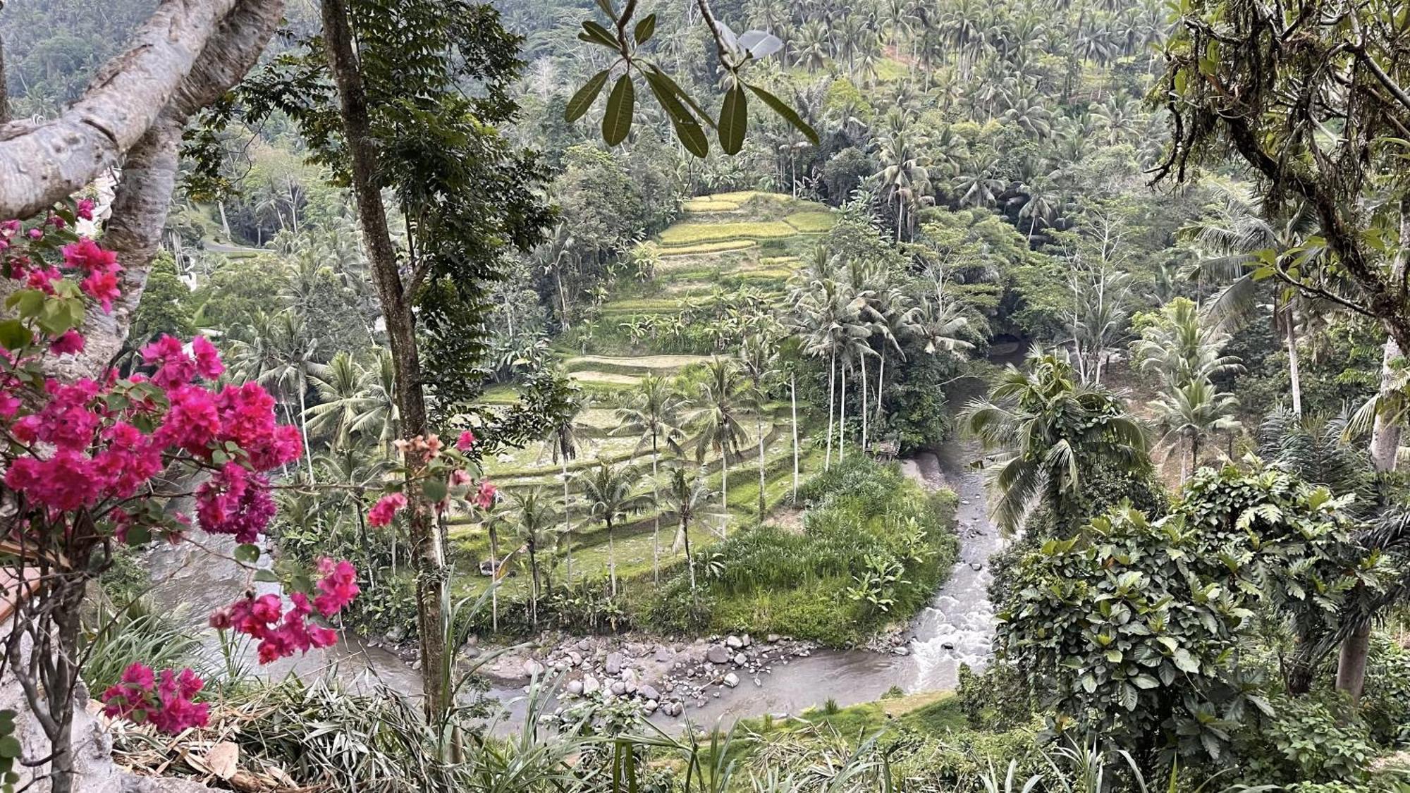 Bed and Breakfast Bali Maison à Ubud Extérieur photo