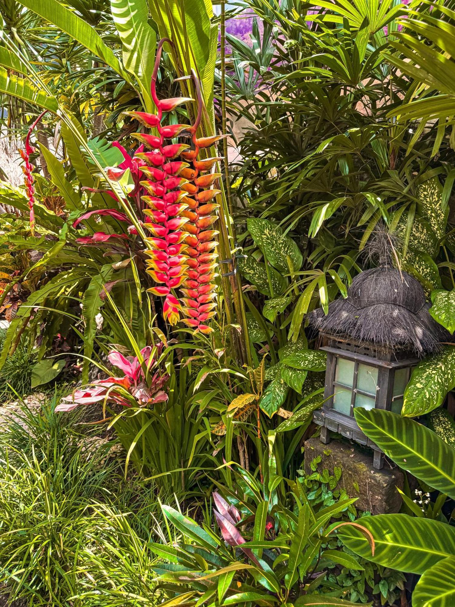 Bali Maison Ubud Extérieur photo